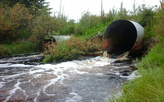 Barriers to fish passage